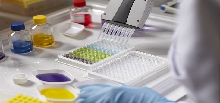 The Future of Immunoassays in Latin America: Trends and Predictions