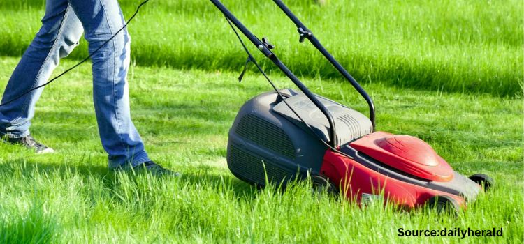 Deere and Company Leading The Lawn Care Products Market With Around 11.2 percent Share- Know The Reason Why